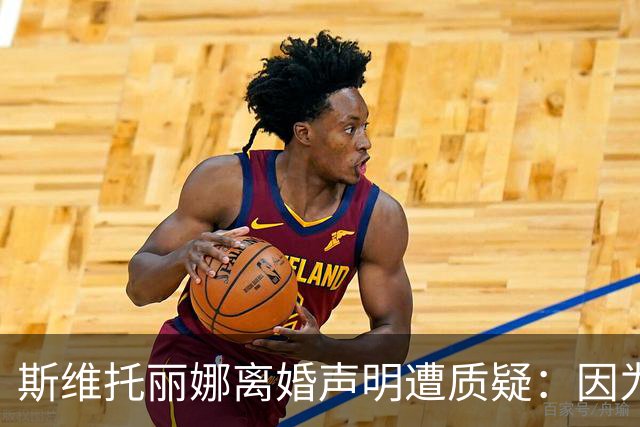 斯维托丽娜离婚声明遭质疑：因为战争就要离婚？别打球了去打仗吧